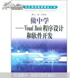 世紀(jì)高等教育精品大系計(jì)算機(jī)系列 以“做中學(xué)”理念引領(lǐng)Visual Basic程序設(shè)計(jì)與軟件開(kāi)發(fā)教學(xué)